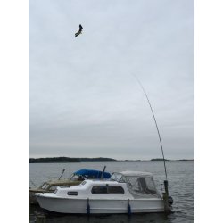 Fågelskrämma set - 10 m teleskopisk stolpe & fågel
