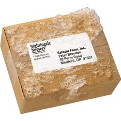 Avery L7993-25 Försändelseetiketter, 99,1x67,7 mm
