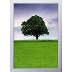 Alu plakatramme t/ Vindue, Snap-frame, 50x70, Sølv