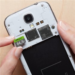 Minneskort microSDXC PNY Elite 64 GB Class 10