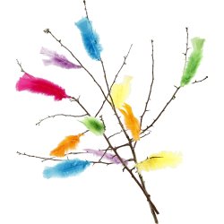 Fjädrar | 11-17 cm | 18 buntar | 6 färger