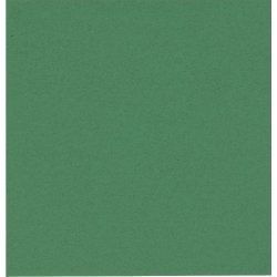 Pappersservett 2-lager 33x33 cm Grön 100 st