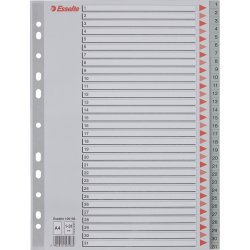 Esselte register A4, 1-31, plast, grå