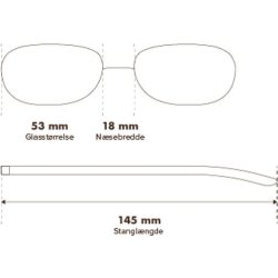 NORD Birk läs- & skärmglasögon | Utan styrka