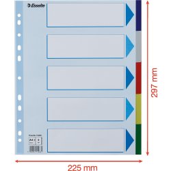 Register Esselte Maxi A4 5 flikar Plast