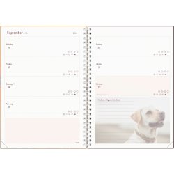 Burde 2024 Hundkalendern