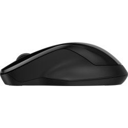 HP 250 Dual Wireless Mouse, svart