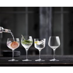Luigi Bormiogli Selection Gin & tonic-glas, 4 st.