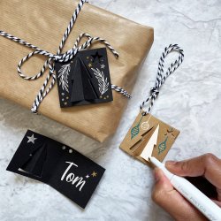 Pilot Pintor märkpenna | M | Lilametallic