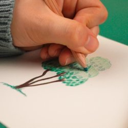 Tombow Eco Color-kritor, 12 färger