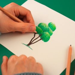 Tombow Eco Color-kritor, 12 färger