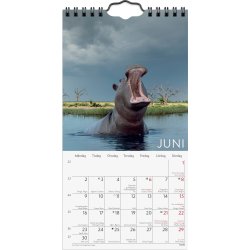 Burde 2025 Väggkalender, Wild animals