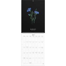 Burde 2025 Väggkalender, Illustrerad blomster