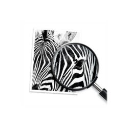 HP 937e EvoMore Original bläckpatron, Magenta