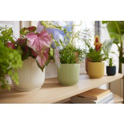 Elho Vibes Blomkruka, 11 cm, sorbetgrön