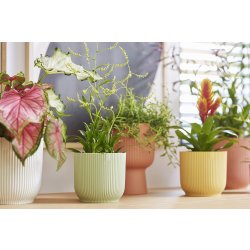 Elho Vibes Blomkruka, 11 cm, sorbetgrön