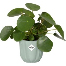 Elho Vibes Blomkruka, 14 cm, sorbetgrön