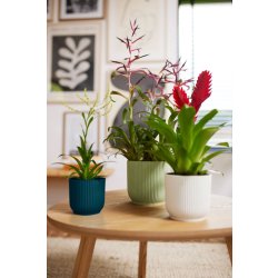 Elho Vibes Blomkruka, 14 cm, sorbetgrön