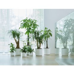 Elho B.for Soft Blomsterkruka, 18 cm, white