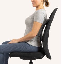 SWEDISH POSTURE Ryggsträckare Pro