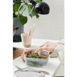 Förvaringslåda Sustain, gråbrun, 0,5 dl, 4 st.