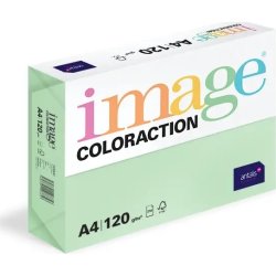 Image Coloraction A4 120 g | 250 ark | Ängsgrön