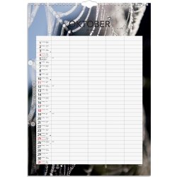 Burde 2026 Familjekalender, Seasons
