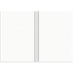 Burde 2026 Kalender, Doodle B5