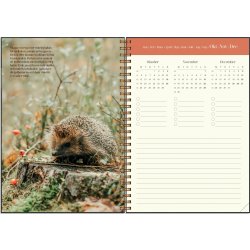 Burde 2026 Kalender, Lantdrömmar