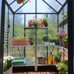 Palram Canopia Glory Växthus, 6,2 m2, grå