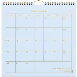 Burde 2026 Väggkalender, Color