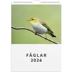 Burde 2026 Väggkalender, Fåglar