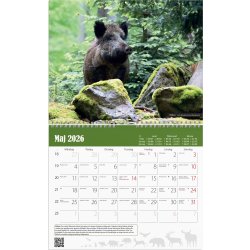 Burde 2026 Väggkalender, Jaktkalender