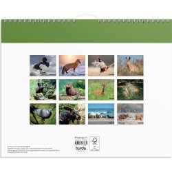 Burde 2026 Väggkalender, Jaktkalender
