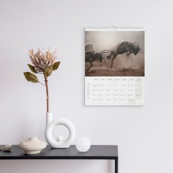 Burde 2026 Väggkalender, Savannen