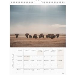 Burde 2026 Väggkalender, Savannen