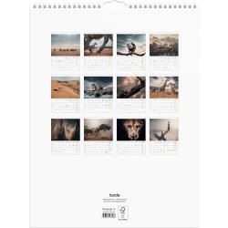Burde 2026 Väggkalender, Savannen