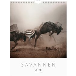 Burde 2026 Väggkalender, Savannen