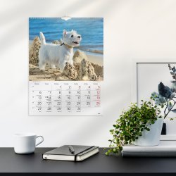 Burde 2026 Väggkalender, Stora Hundkalendern
