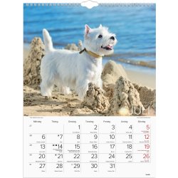 Burde 2026 Väggkalender, Stora Hundkalendern