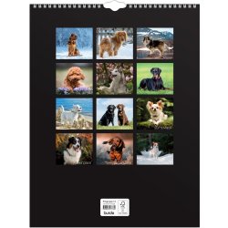 Burde 2026 Väggkalender, Stora Hundkalendern