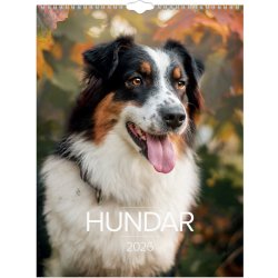 Burde 2026 Väggkalender, Stora Hundkalendern
