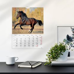 Burde 2026 Väggkalender, Stora Hästkalendern