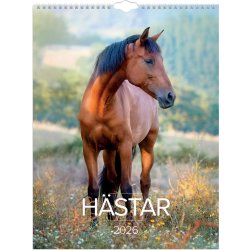 Burde 2026 Väggkalender, Stora Hästkalendern