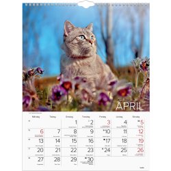 Burde 2026 Väggkalender, Stora Kattkalendern