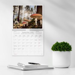 Burde 2026 Väggkalender, Vår vackra skog