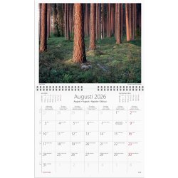 Burde 2026 Väggkalender, Vår vackra skog