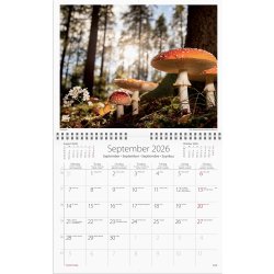 Burde 2026 Väggkalender, Vår vackra skog