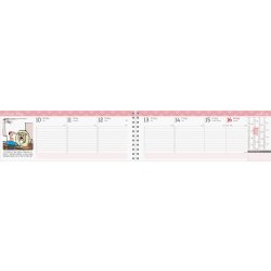 Burde 2026 Kalender, Stor Plankalender, Humor