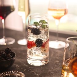 Stölzle Experience High Ball Drinksglas 48cl, 6st